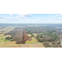 Real Estate Auction