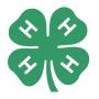 Lapeer County 4-H Fundraiser Online Auction