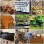 Hundred, WV: Moving Auction: 20 Rockwood Mini Lite RV, JD E110 Mower, Shop Items, Tools, Modern & 