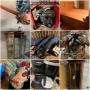 Given, WV: Household Items, Furniture, Building Supplies, Tools, Electronics, and More!