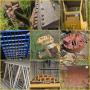 Culloden, WV: Complete Business Liquidation of Hurricane Equipment Inc. 