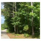 Elvin Weeks Rd 