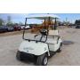 LiV Prosper Golf Cart Lithium Ion Battery Electric