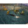 2 Large Koi Fish, selected from a pool of large fish and bagged for transport the day of removal
