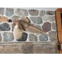Flying Pheasant Wall Mount