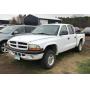 - Auction 319 - White Out Auction! - Dakota, Savana and More! -