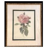 Vintage Framed Bombay Company, The Rose Framed Print