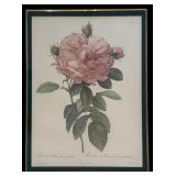 Vintage Framed Bombay Company, The Rose Framed Print