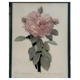 Vintage Framed Bombay Company, The Rose Framed Print
