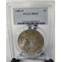 MC SALES # 39 |   Morgan & Peace Silver Dollars, Canadian Coins, Buffalo & War Nickels, Gold, and More!