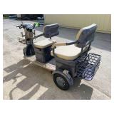 2025 SDLANCH Electric Tricycle Mini Golf Cart (IRGC40) - Purple