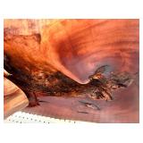 Live Edge Carved Wood Console Table with Natural Root Base