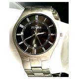 Skagen Titanium Men
