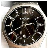 Skagen Titanium Men