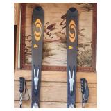 Pair of Adult Salomon Streamline Down Hill Ski