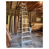 Werner 10 ft Fiberglass Ladder