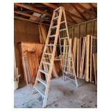Werner 10 ft Fiberglass Ladder