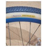 Vintage Schwinn Unicycle