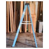Blue Werner 6 ft Fiberglass Ladder