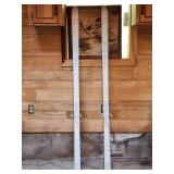 Pair of Adult Rossignol Down Hill Ski