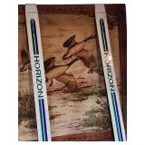 Pair of Adult Horizon Cross Country Ski