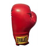 K - Pair of Everlast Boxing Gloves