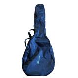 LR - Two Soft Sided Guitar Bags by Maestro and More