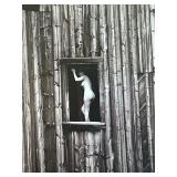 K - Kyle Soderlund Signed Framed Nude Photograph Print