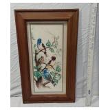 Framed Bird Illustration approx. 13x22