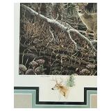 B3 - Framed Limited Edition Print 