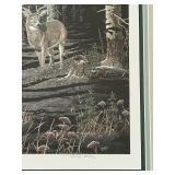B3 - Framed Limited Edition Print 