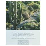 BR3 - Framed Saguaro Cactus Desert Poster by Parks Project Association