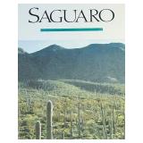 BR3 - Framed Saguaro Cactus Desert Poster by Parks Project Association