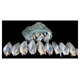 G - Lot of 18 Mallard Duck Decoys with Net Bag