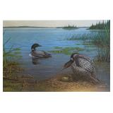 U - "Changing of the Guard -- Common Loon" Limited Edition Print by Owen Gromme