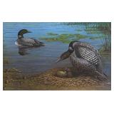 U - "Changing of the Guard -- Common Loon" Limited Edition Print by Owen Gromme