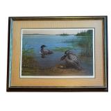 U - "Changing of the Guard -- Common Loon" Limited Edition Print by Owen Gromme