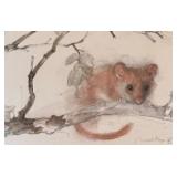U - Mads Gerhard Framed Print of Hazel Dormouse