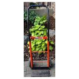 G - 4 Wheel Wonder Vertical and Horizontal Hand Truck Dolly