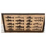Framed Vintage Fish Identification Print 9.5 x 20.5 Inches