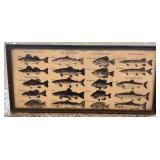 Framed Vintage Fish Identification Print 9.5 x 20.5 Inches