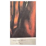 Don Marco Signed Limited Edition Artist Proof Print Chief Little Wound 21.5 x 26.5