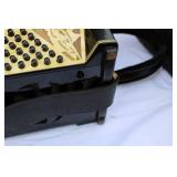 Vintage Accordiana NY Accordian and Case