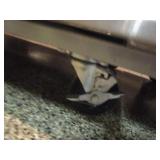 Norpole Freezer 53"x33"x83"