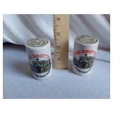 The Grotto Dickeyville, Wisconsin Souvenir Salt and Pepper Shakers