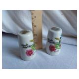 Alaska Wild Flowers Salt and Pepper Shakers