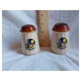 New Mexico Souvenir Salt and Pepper Shakers