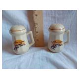 New Mexico Souvenir Ceramic Salt and Pepper Shakers with Crackling