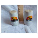 Pair of Ceramic Colorado Salt and Pepper Shakers