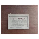 Set of floral-themed wall decorations and wooden display stands with a wooden plaque